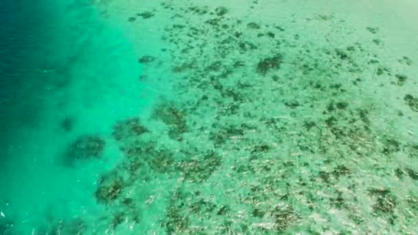 Agua azul transparente del mar en la laguna. — Vídeo de stock