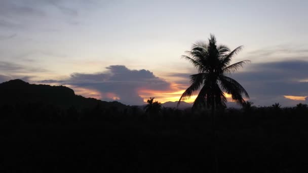 Puesta de sol sobre una isla tropical. Filipinas naturaleza por la noche . — Vídeos de Stock