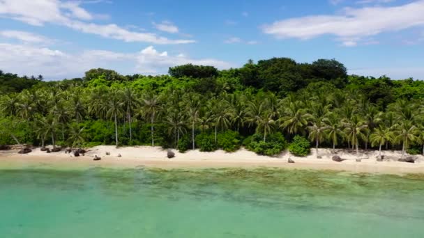 Білий піщаний пляж з кокосовими деревами. Карамоські острови (Філіппіни). — стокове відео