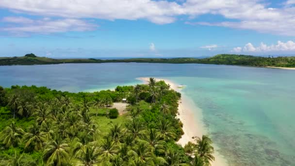 Trópusi sziget pálmafákkal és fehér homokos stranddal. Karamói-szigetek, Fülöp-szigetek. — Stock videók