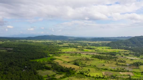 Paisaje con campos de cultivo y arrozales. Paisaje tropical en el campo, vista aérea. — Vídeo de stock