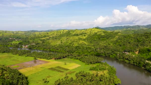Folyó és zöld dombok. Gyönyörű természeti táj a folyó Délkelet-Ázsiában. A Fülöp-szigetek természete, Samar — Stock videók