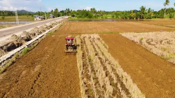 Landwirtschaftliche Arbeit auf den Philippinen. Traktorarbeit auf den Feldern in Asien. — Stockvideo