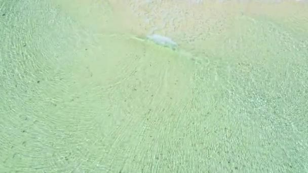 Miękka błękitna fala morska na czystej piaszczystej plaży, widok z góry. Turkusowe fale morskie i plaża z białym piaskiem, — Wideo stockowe