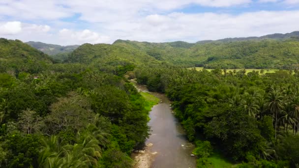 열 대의 섬에 있는 산의 강, 맨 위에서 바라본 광경. — 비디오