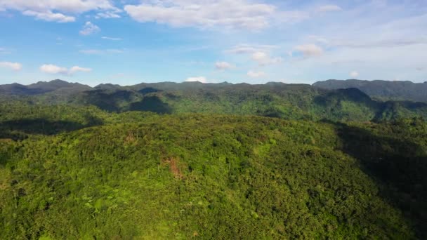 Hermoso paisaje de montaña con una selva en tiempo soleado. — Vídeos de Stock