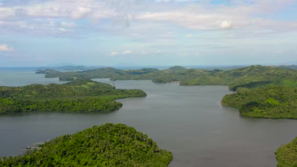 Pădurea de palmier de nucă de cocos și golfurile de apă. Peisaj cu dealuri verzi, vedere aeriană . — Videoclip de stoc