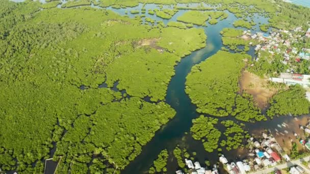 Letecký výhled Město je v mangrovech. Siargao, Filipíny. — Stock video