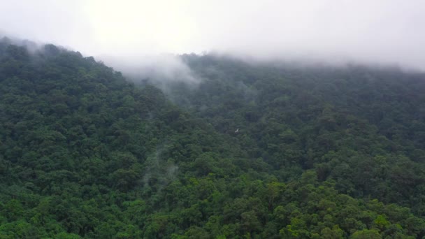 Evergreen bos in de tropen. Berglandschap met stoomwolken. — Stockvideo