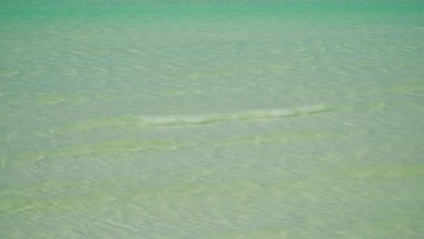 Тропический пляж и синее море с волнами. — стоковое видео