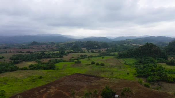 Paysage tropical avec terres agricoles et collines verdoyantes, vue aérienne. — Video