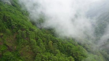 Dağ zirveleri yağmur ormanları ve bulutlarla kaplıdır. Tropikal iklimde yağmur bulutları.
