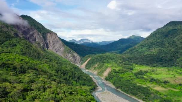 열 대 우림으로 덮여 있는 산들, 항공 사진. 산악 지대에 있는 강. — 비디오
