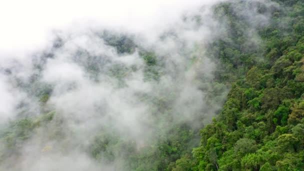 Picos de montanha são cobertos com floresta tropical e nuvens. Nuvens de chuva em um clima tropical . — Vídeo de Stock