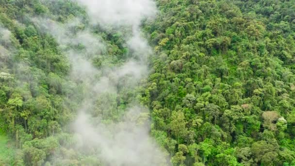 Cordillera a Fülöp-szigeteken, Luzon szigetén, légi felvétel. Hegyek és esőerdők. — Stock videók