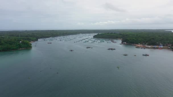 Ferme piscicole avec cages pour poissons et crevettes aux Philippines, Luçon. Vue aérienne des étangs à poissons pour le bangus, le milkfish. — Video