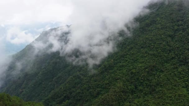 Regenwoud op de top van een berg bedekt met mist in de ochtend. Cordillera op Luzon Island, Filipijnen, luchtfoto 's. — Stockvideo