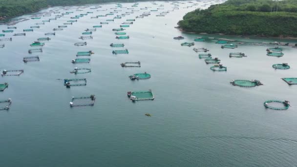 Fish farm with cages for fish and shrimp in the Philippines, Luzon. Aerial view of fish ponds for bangus, milkfish. — Stock Video