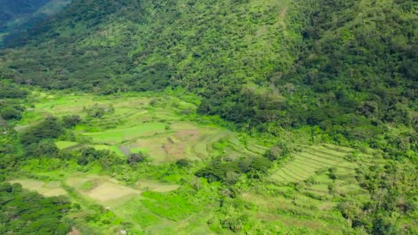 Rýžová terasa v horách Cordillera, Luzon, Filipíny. — Stock video