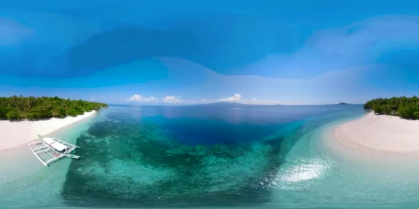 Tropischer Strand mit Palmen, 360 VR. — Stockvideo