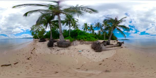 Tropisch strand met palmbomen, 360 VR. — Stockvideo