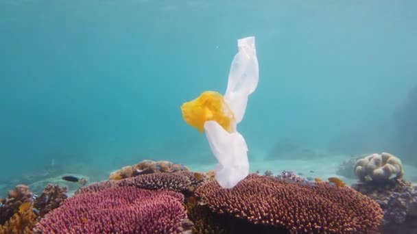 Koraalrif vervuild met plastic zak. — Stockvideo