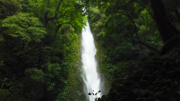 Piękny tropikalny wodospad Filipiny, Luzon. — Wideo stockowe