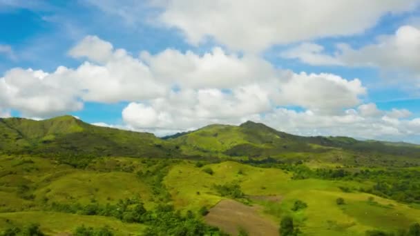 Hills with green grass and blue sky with white puffy clouds. — Stock Video