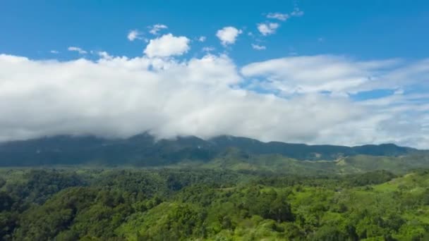 Collines avec herbe verte et ciel bleu avec des nuages blancs gonflés. — Video