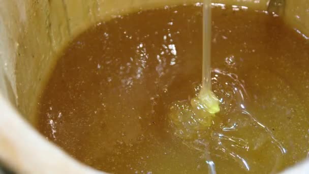 Honey dripping in a bucket. — Stock Video