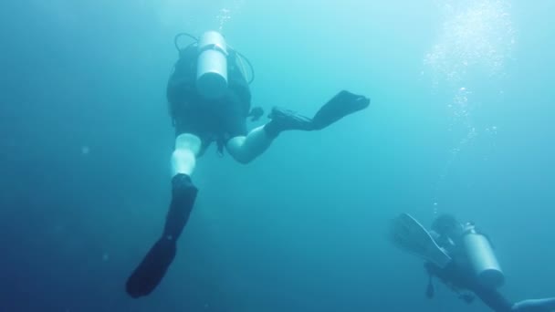 Duikers onder water. Leyte, Filipijnen. — Stockvideo