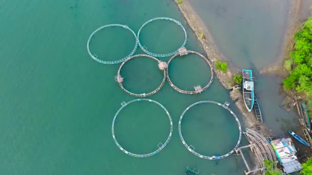 Vista aérea de estanques de peces para bangus, milkfish. — Vídeos de Stock