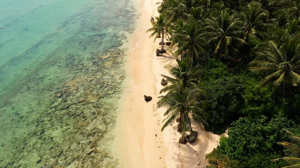 Playa de arena blanca salvaje con cocoteros. Islas Caramoanas, Filipinas. — Foto de Stock