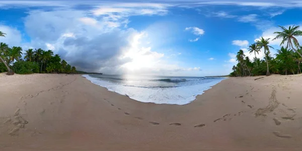 Palmiye ağaçları olan tropik plaj, 360 VR..