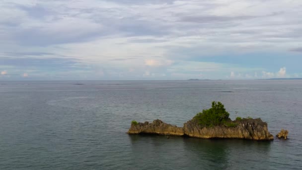 Μικρό βραχώδες νησί με ένα δέντρο, με θέα στην κορυφή. — Αρχείο Βίντεο