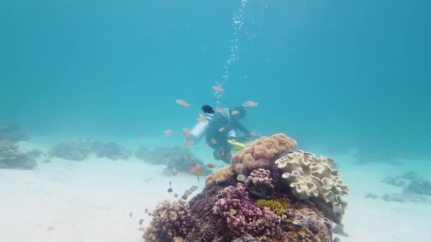Buceador bajo el agua. Leyte, Filipinas. — Vídeos de Stock