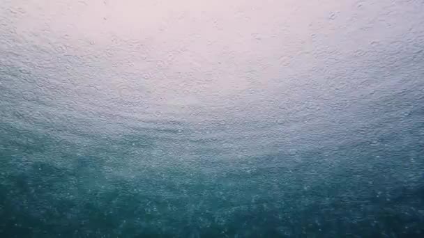 Pluie à la surface de la mer, vue sous l'eau. — Video