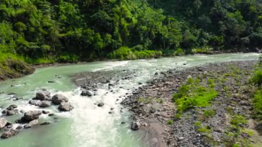 Tropikal manzara, ormandaki dağ nehri..
