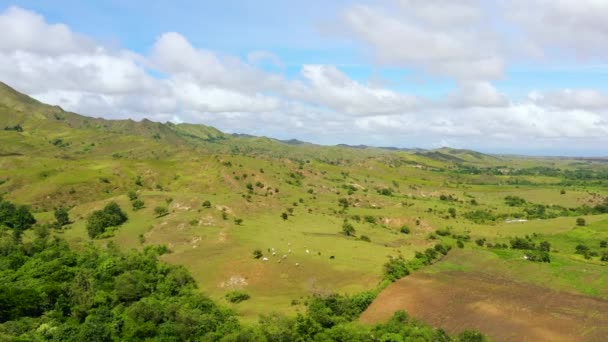 Grüne Hügel und blauer Himmel mit Wolken. Schöne Landschaft auf der Insel Luzon, Luftaufnahme. — Stockvideo