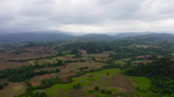 Vista aérea da plantação de arroz, terraço, terra agrícola dos agricultores. Paisagem tropical com terras agrícolas na ilha Luzon, Filipinas . — Vídeo de Stock