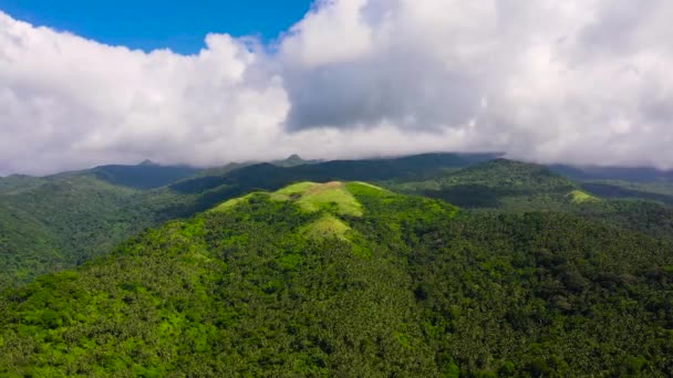 Güneşli havada ormanı olan güzel bir dağ manzarası.. — Stok video