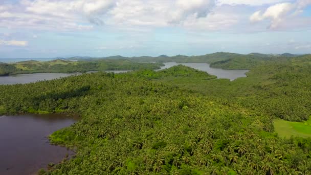 Kokospalmskog och havsvatten vikar. Landskap med gröna kullar, flygutsikt. — Stockvideo