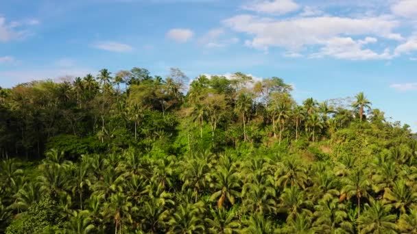 Bergslandskap med moln. Bergslandskap på Leyte Island, Filippinerna. — Stockvideo