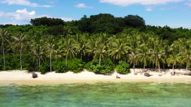 Kokosnötsträd på en vit strand. Caramoanöarna, Filippinerna. — Stockvideo