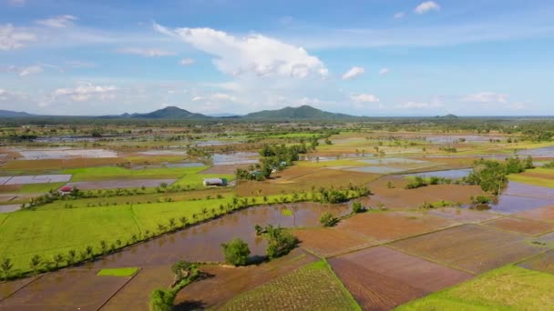 Campos Paddy nas Filipinas. Paisagem montanhosa com colinas verdes e terras agrícolas. — Vídeo de Stock