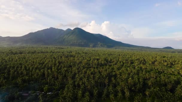 열 대 우림으로 덮여 있는 산들, 맨 위의 광경. 루손섬 필리핀. — 비디오