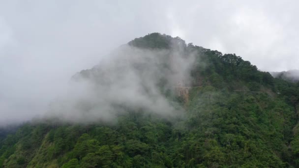 山顶上覆盖着热带雨林和云彩. 热带气候中的雨云. — 图库视频影像