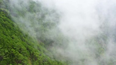 Yağmur bulutları yeşil orman dağının tepesini kapladı. Tropikal iklimde yağmur bulutları.