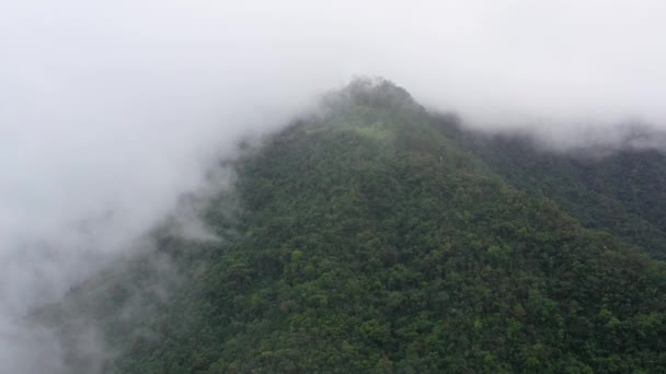 Le nuvole piovose coprivano la cima della montagna verde della foresta. Nuvole di pioggia in un clima tropicale . — Video Stock