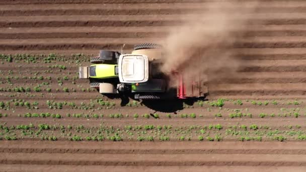 Patates tarlasında tarım makineleri toprağı işliyor. — Stok video